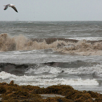 Santa Barbara Storm Photos (or 'snow, waves, dirt')