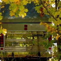 Citizen Posting: Fall Color - Custom Tour Coach