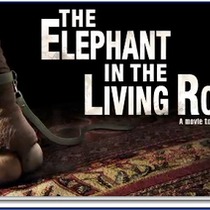 An Elephant in the Living Room