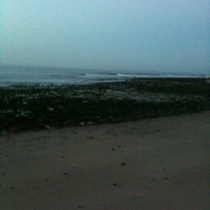 Mobile Post: Rincon cove 6 am