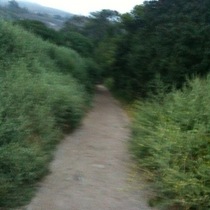 Mobile Post: Rincon cove 6 AM