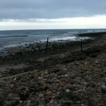 Mobile Post: Rincon cove 6AM