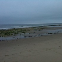 Mobile Post: Rincon cove 6AM