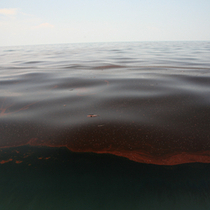 deGruys Document Gulf Oil Spill