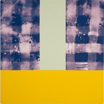 Call for Entries 2010 and Bloom Projects: Keith Puccinelli