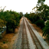 Mobile Post: Above the Tracks (photo)