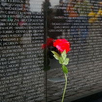 culture of protest: veterans day special