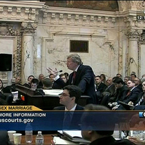 Prop 8 in the 9th Circuit
