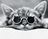 Cats-wearing-glasses-cats-27565156-350-284
