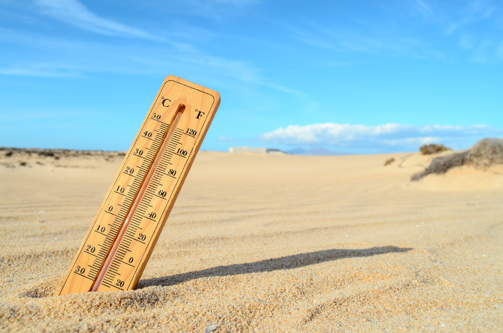 Thermometer