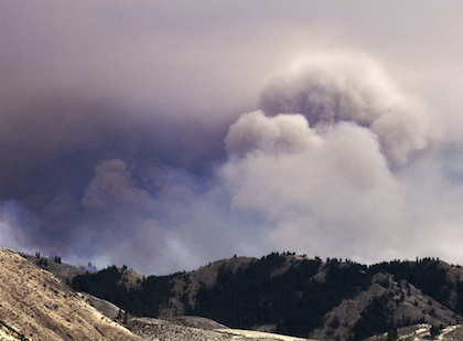 On the Carlton Complex Wildfire