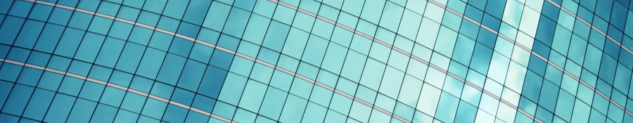 How do you capitalise on the leadership potential in your organisation?