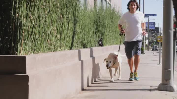how to keep dogs from chewing how to keep your from chewing on deck rails ehow how to keep dogs from chewing how to keep your from chewing on deck rails ehow