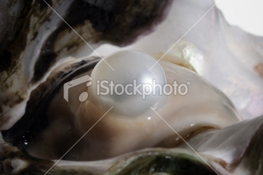 how-do-oysters-make-pearls | Animals - mom.me