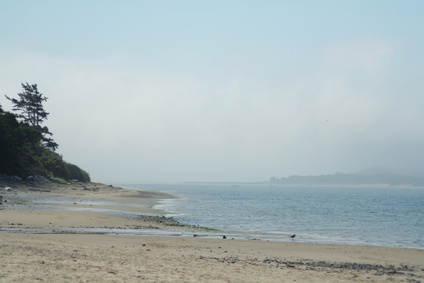 Download Jpg Photo Editor Background