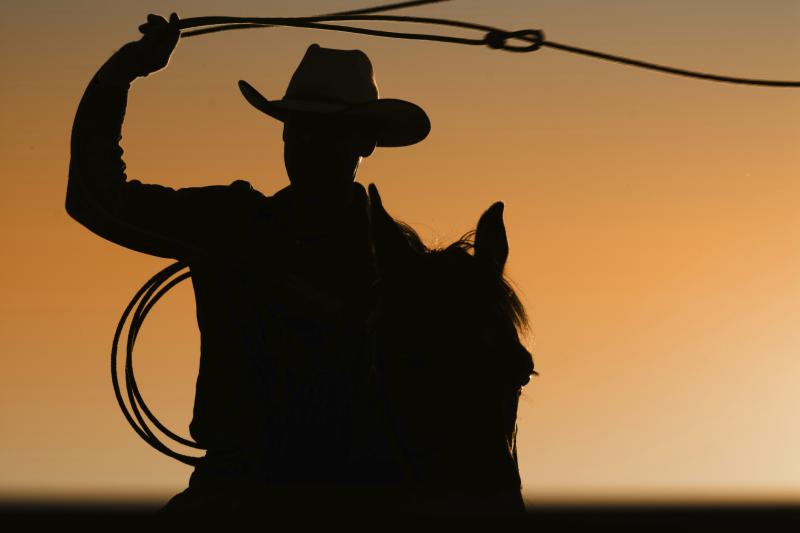 Throwing a Lasso Our Everyday Life