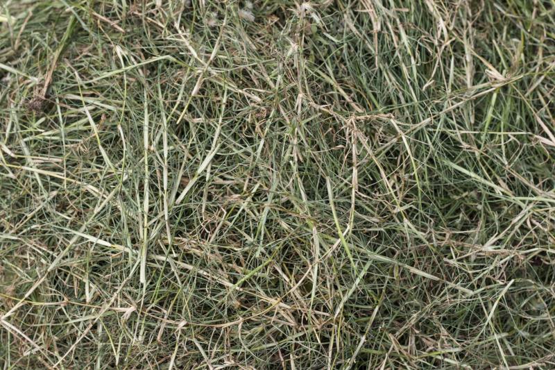 Making Fuel From Grass Clippings Sciencing