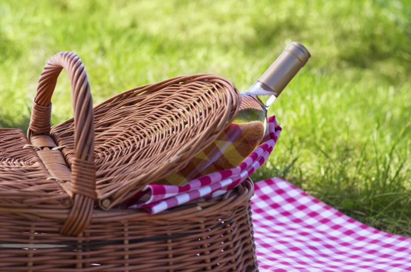 How to Plan an OldFashioned Picnic Our Everyday Life