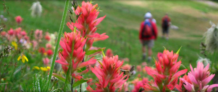 CMH Heli-Hiking Alpinist Awards