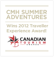 Traveller Experience Award