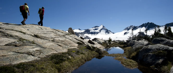Heli-Hiking with CMH Summer Adventures