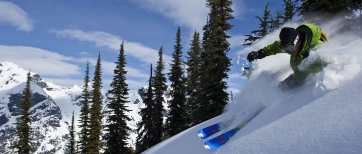 CMH Heli-Skiing Waivers