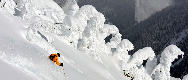CMH Heli-Skiing Snow Reports