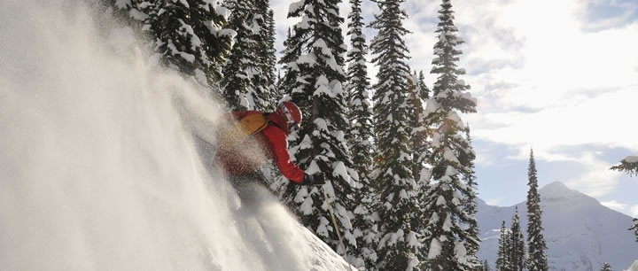CMH Heli-Skiing Offers