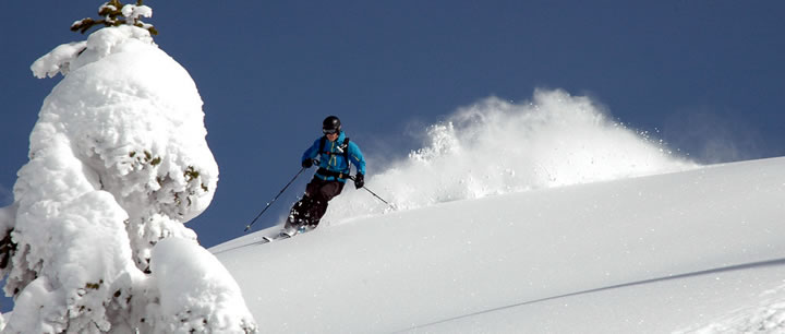 Great Tree Skiing at CMH K2