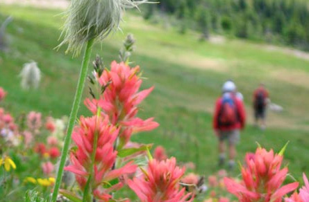 Lodge To Lodge trips with CMH Heli-Hiking
