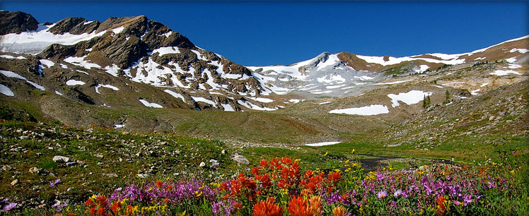 Heli-Hiking Application & Waiver