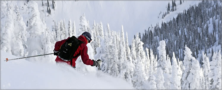 Pay as you Play with CMH Heli-Skiing