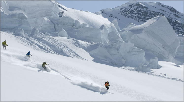 Private Trips with CMH Heli-Skiing