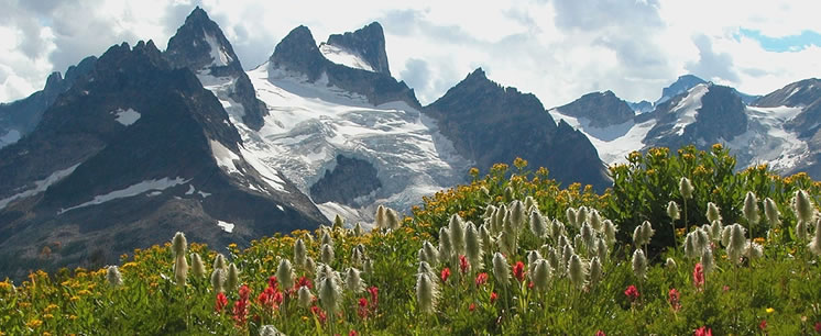 NCC and CMH Team Up for Nature - Jagged spires in the Bugaboos by Paul Lazarski
