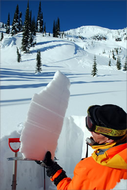 CMH Heli-Skiing Guides: Dedicated Professionals