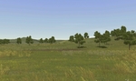 Bird_summertime_grass_mod_2
