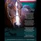 Simeon Shai Invitation for the Arabian Horse World Tribute section. October 2013 