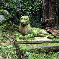A visit to Arabian Soul near Mexico City