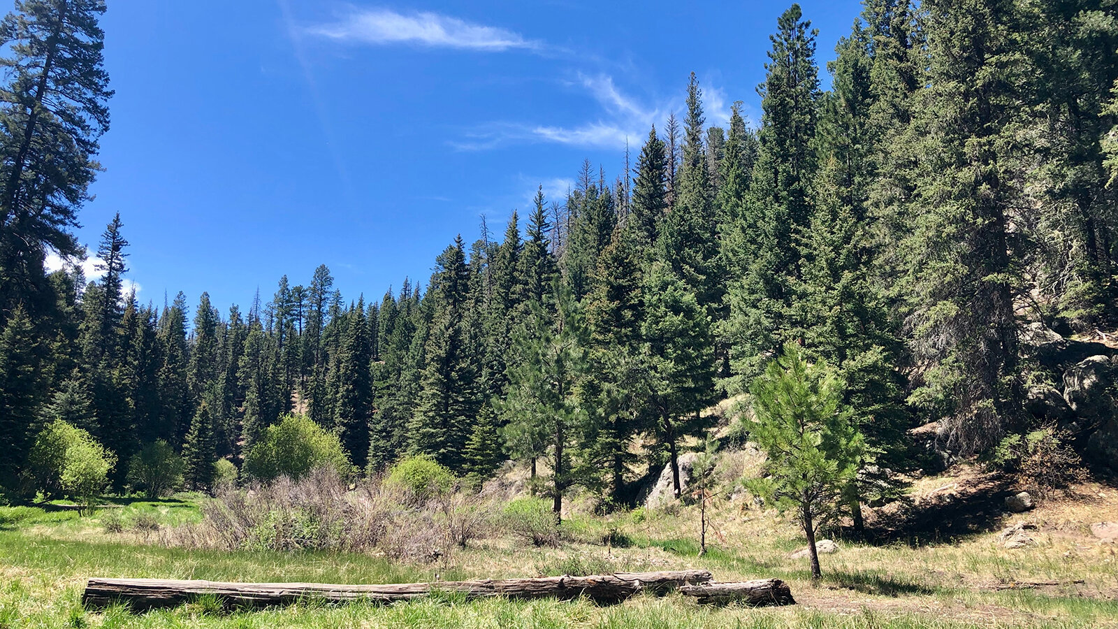 U.S. needs to double nursery production according to new study