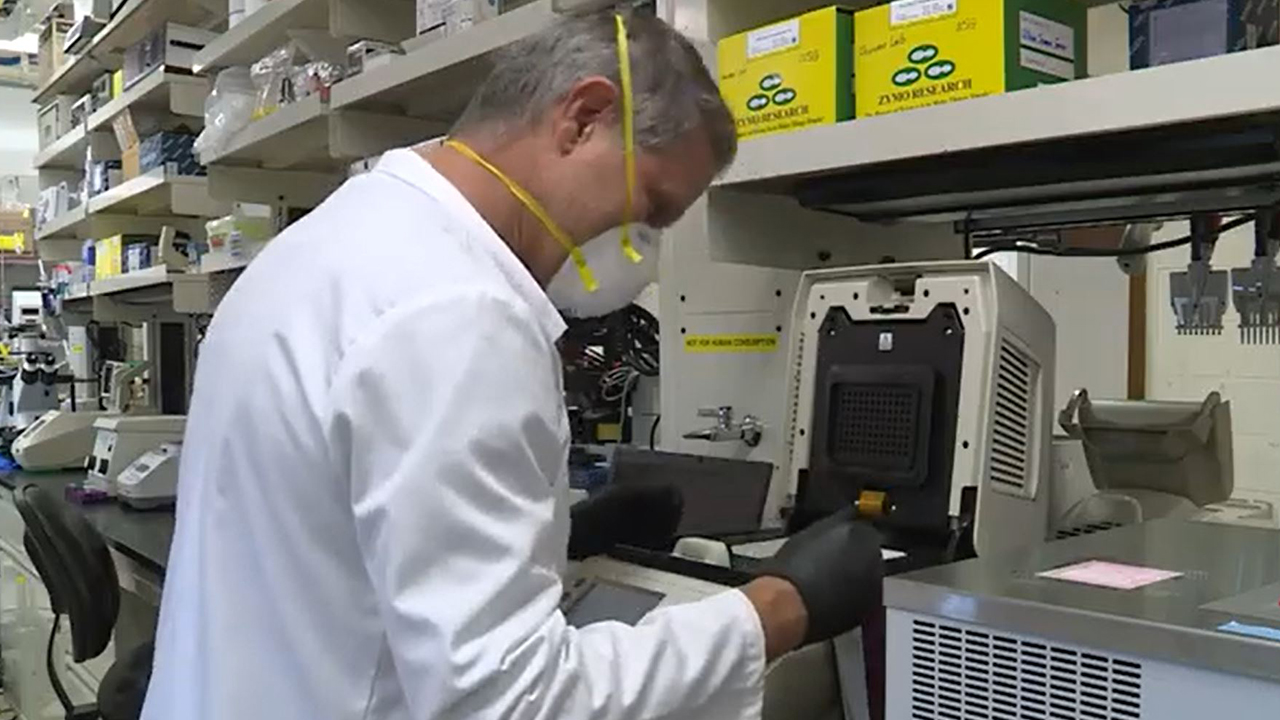 Researchers develop chip that improves testing and tracing for COVID-19