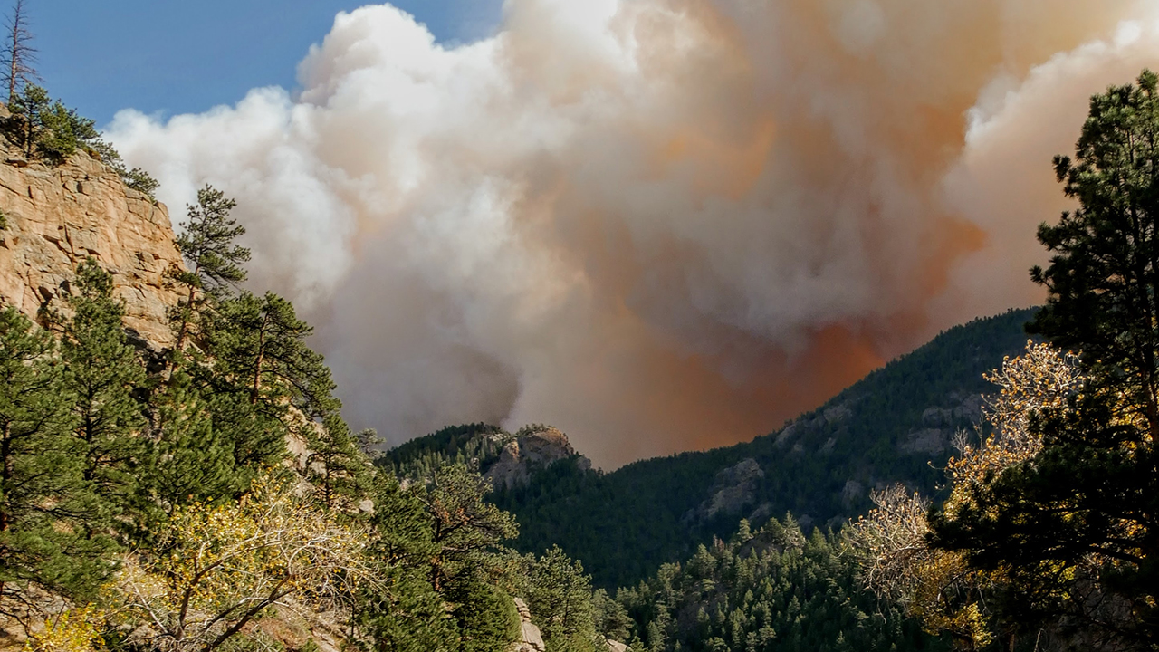 Research shows advisability of replanting conifer forests sooner than later after wildfires
