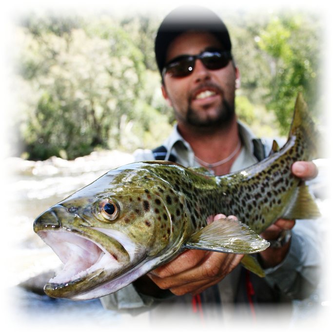 Mr Freshwater