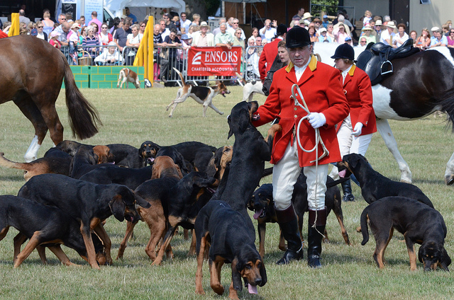 Blood Hounds parade in Ring 1 - 2011