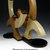 Carpenter