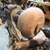 On the lathe: 