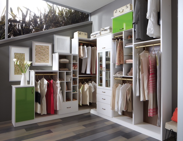 California Closets: Form & Function