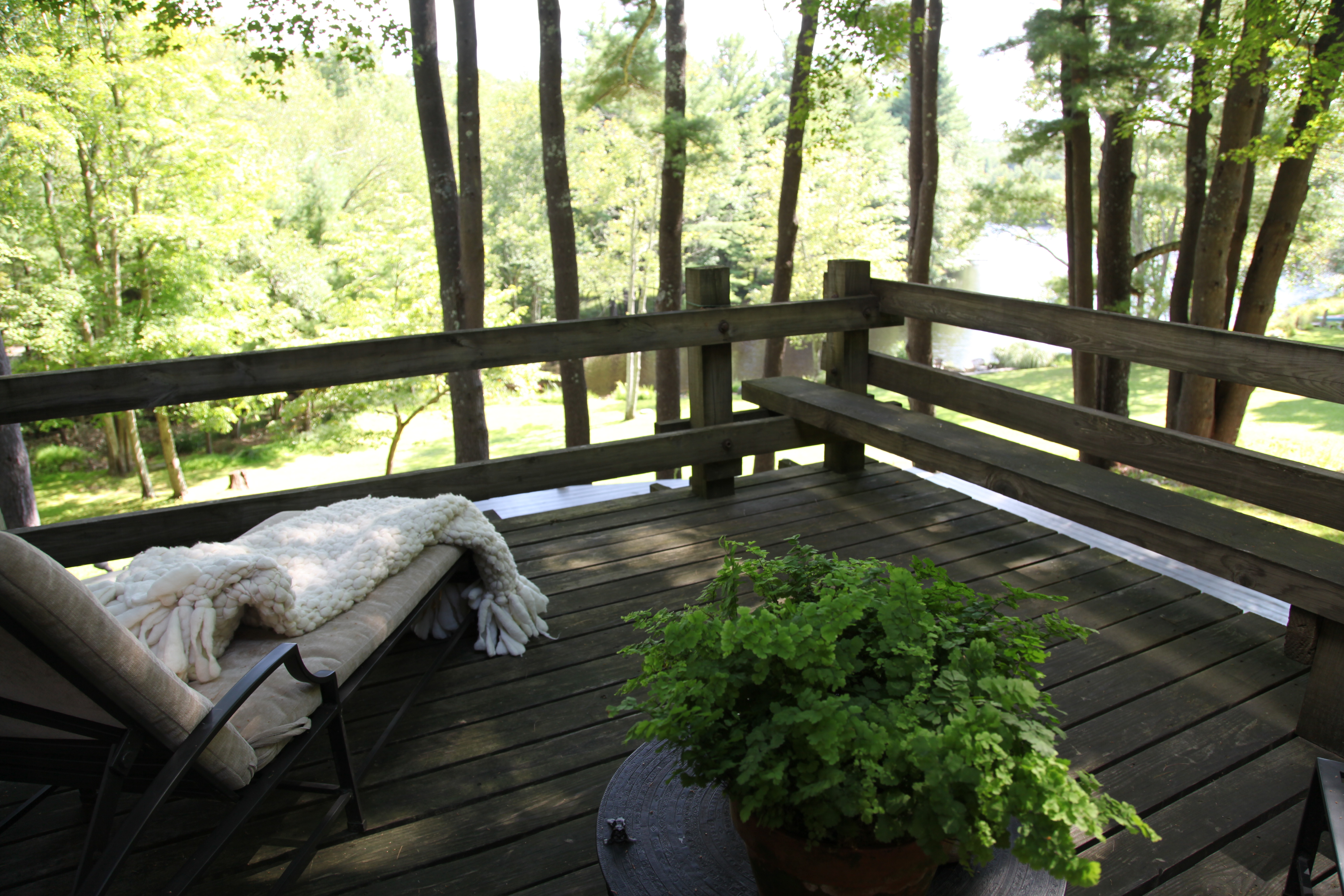 An Interview with Brad Ford