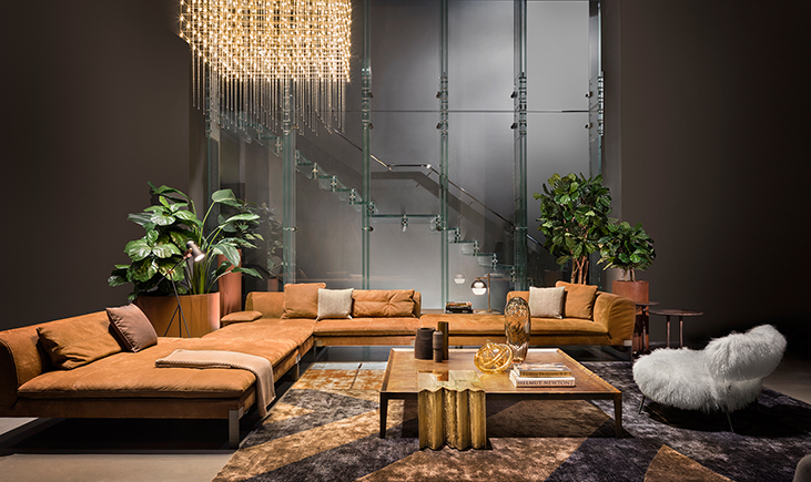 Explore ddc 2018 Collection