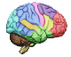 Logo_YourBrainOnPorn