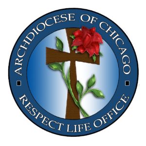 RL OFFICE LOGO copy BLUE (Smaller)